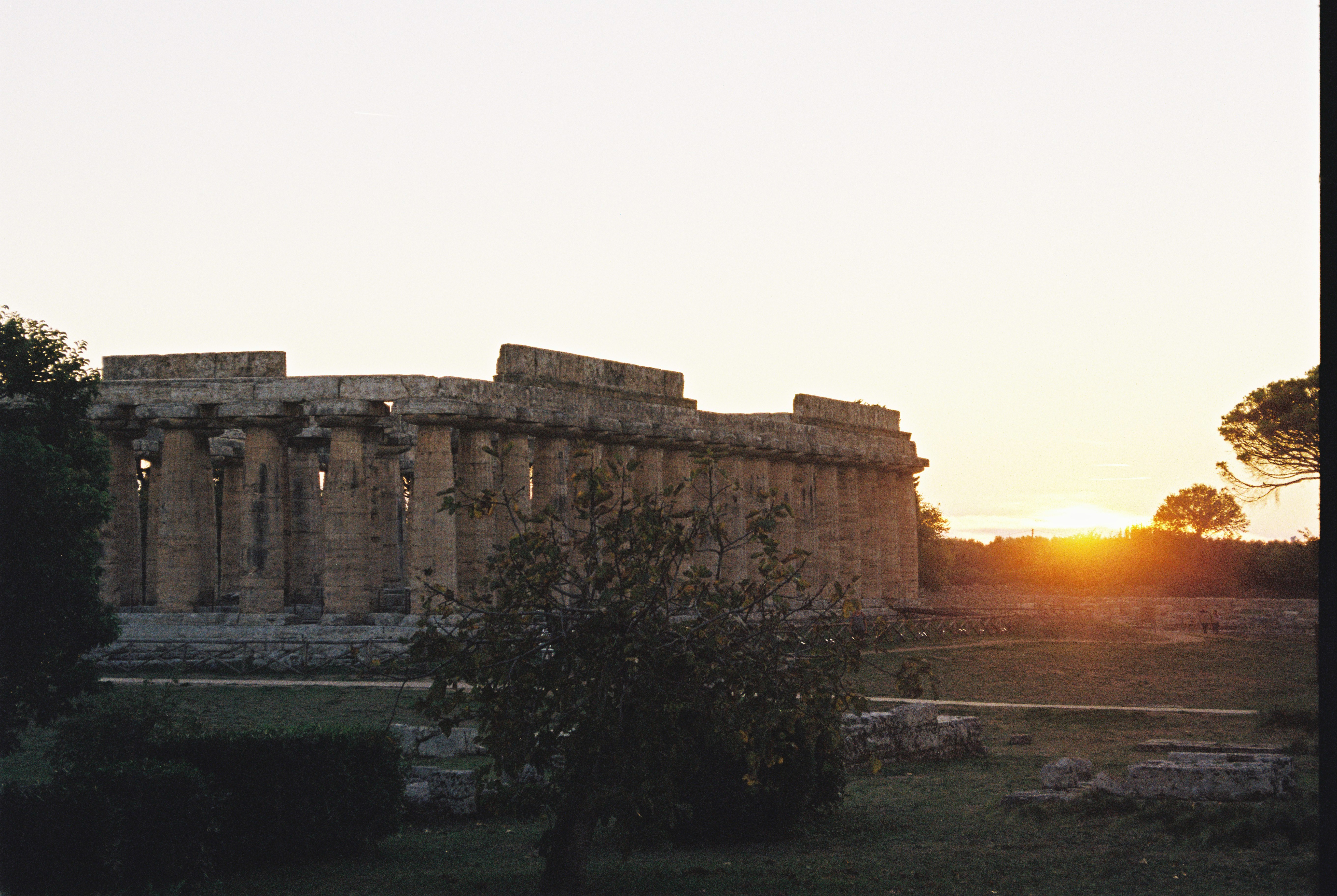 Greek ruin in Paestum