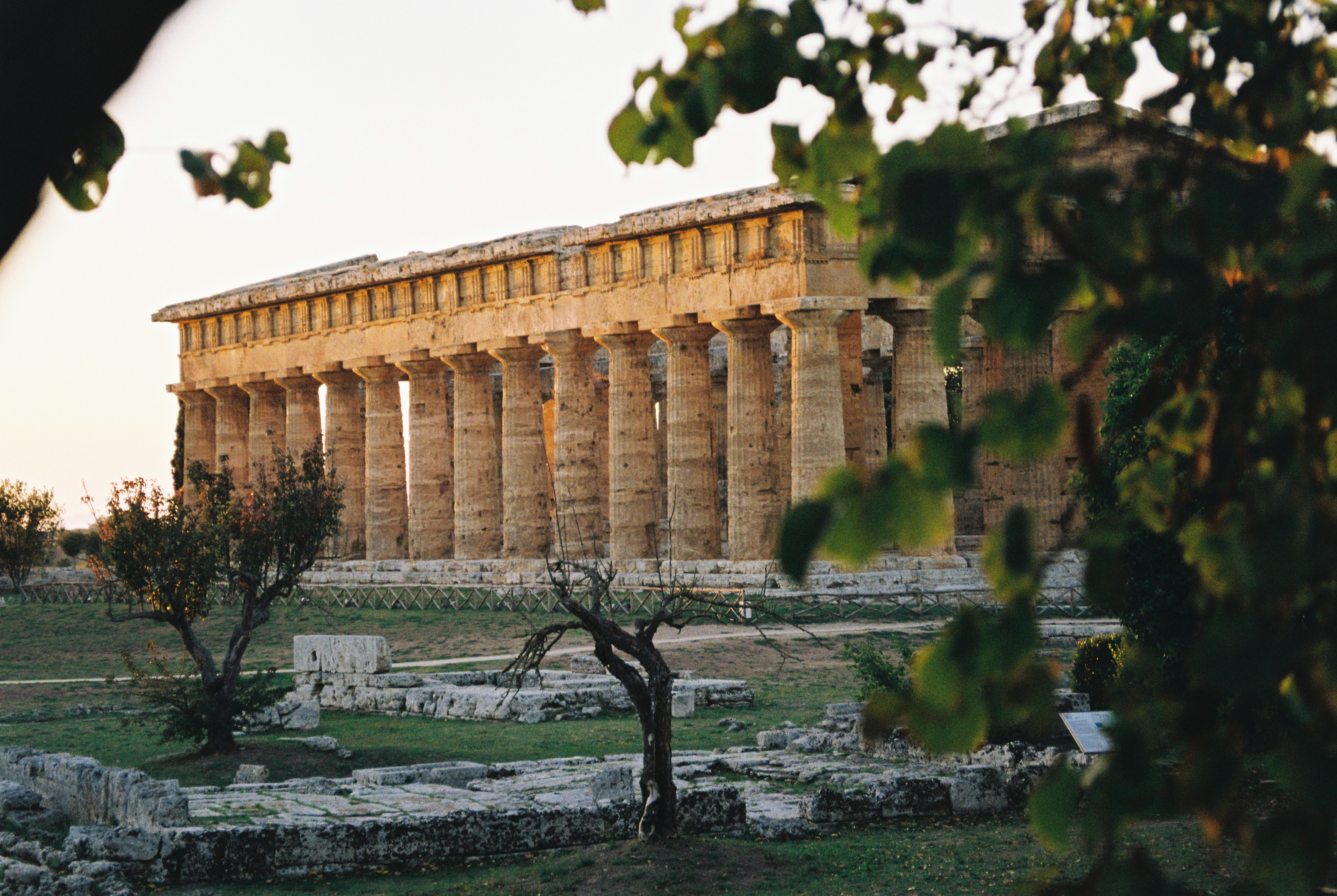 Greek ruin in Paestum